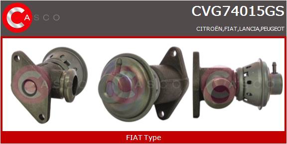 CASCO VALVOLA EGR   FIAT