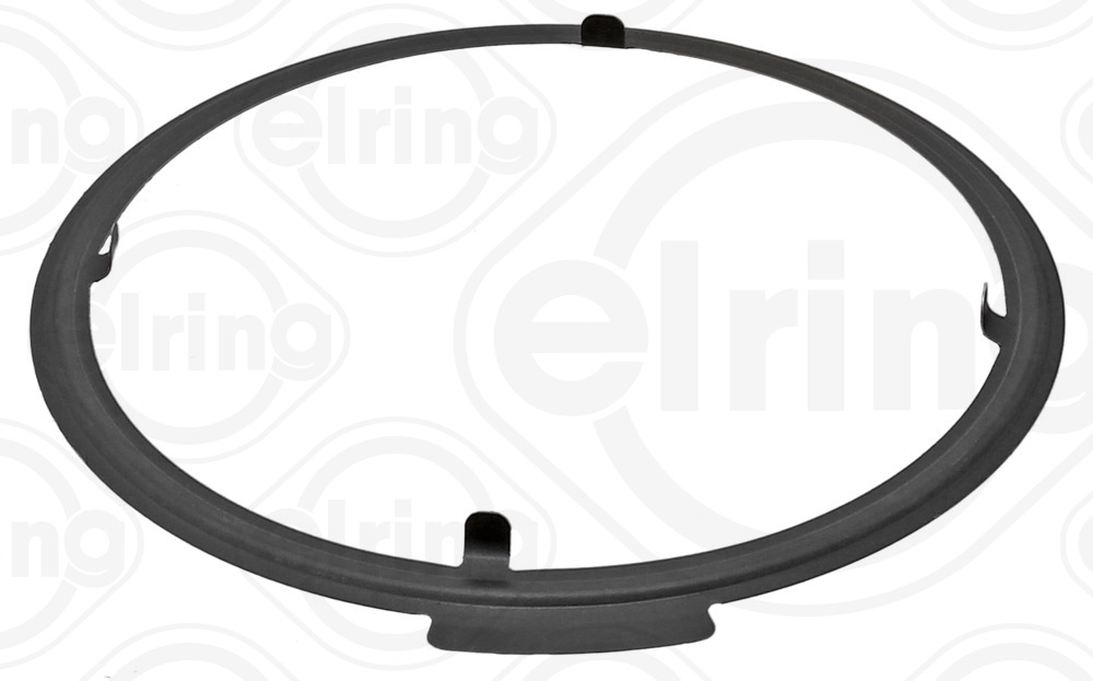 Guarnizione valvola egr (ricircolo gas scarico) ELRING 005.250
