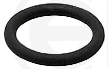 Anello tenuta, raccordo acqua (compressore) ELRING 202.790