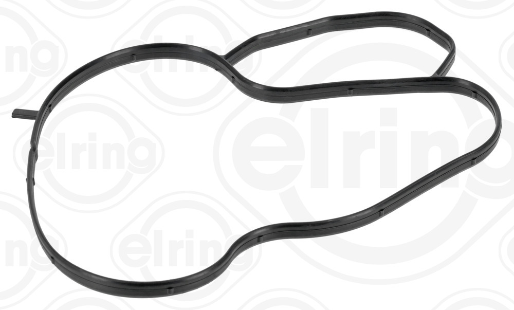 Guarnizione, pompa acqua ELRING 249.160