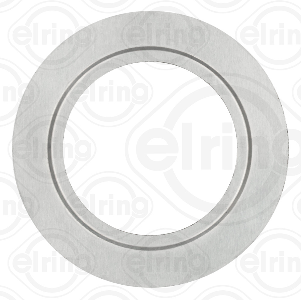 Guarnizione valvola egr (ricircolo gas scarico) ELRING 302.560