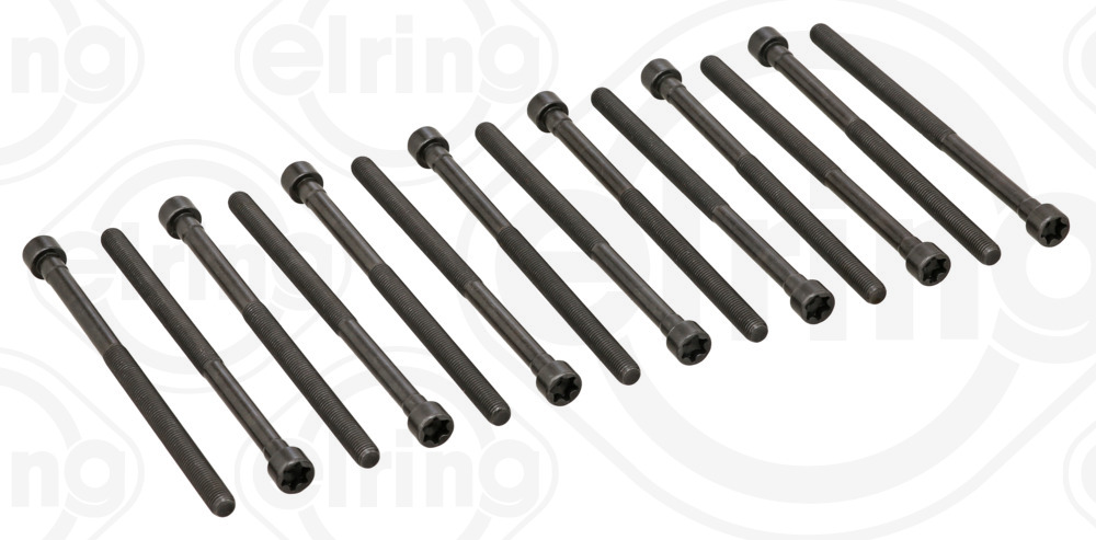 Kit bulloni testata ELRING 794.480
