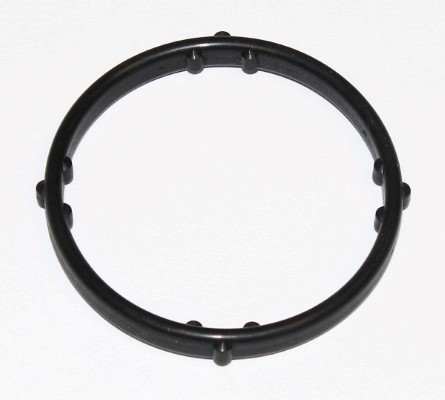 Guarnizione, condotto d. refrigerante ELRING 273.760