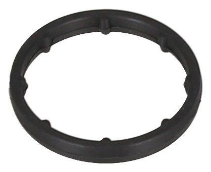 Guarnizione, radiatore olio ELRING 693.940