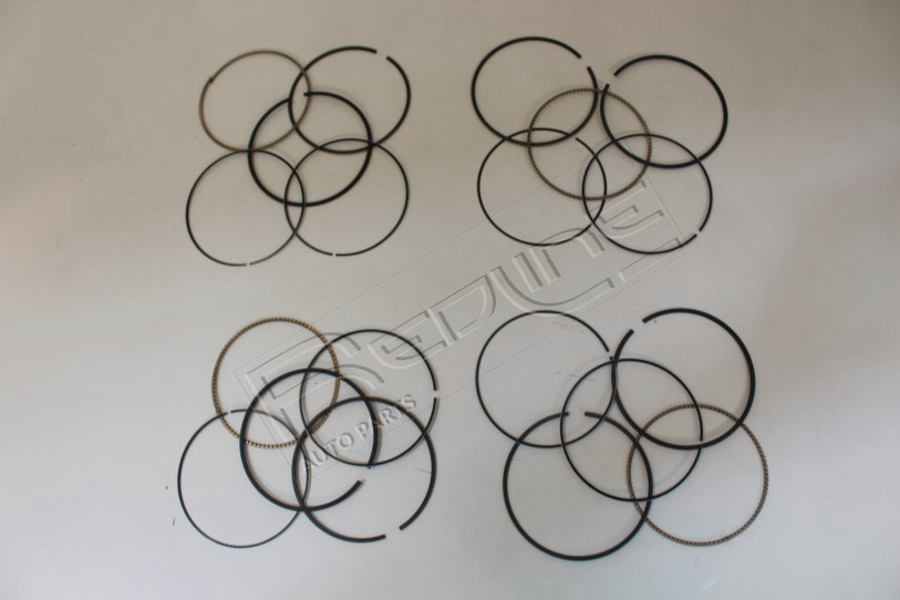 Kit fasce elastiche REDLINE 04CV004