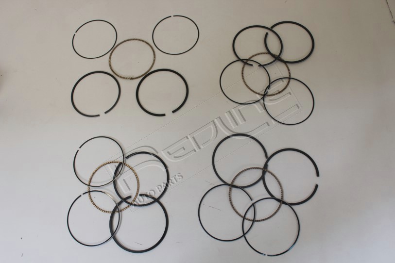 Kit fasce elastiche REDLINE 04CV005