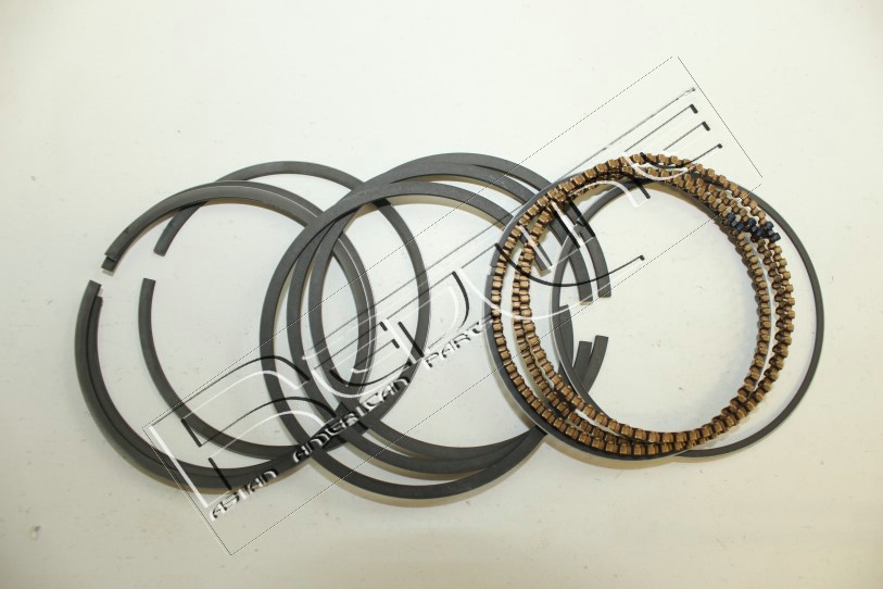 Kit fasce elastiche REDLINE 04DA003