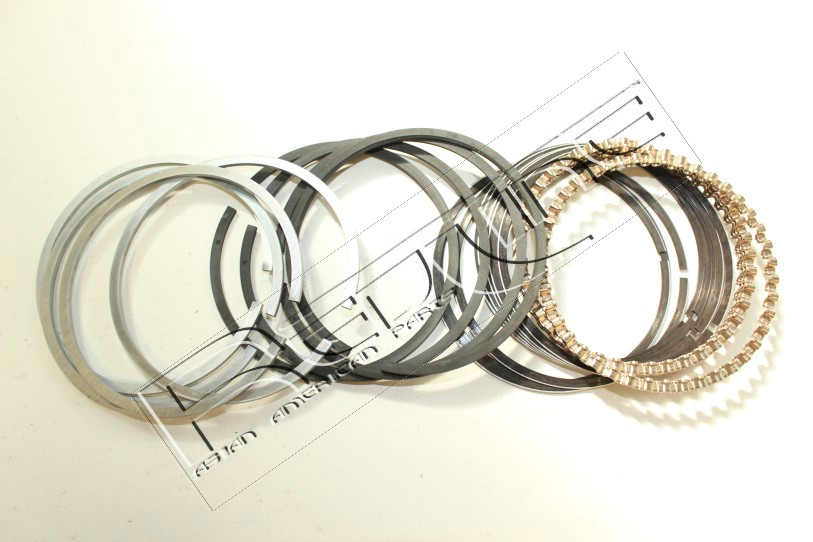 Kit fasce elastiche REDLINE 04DA005