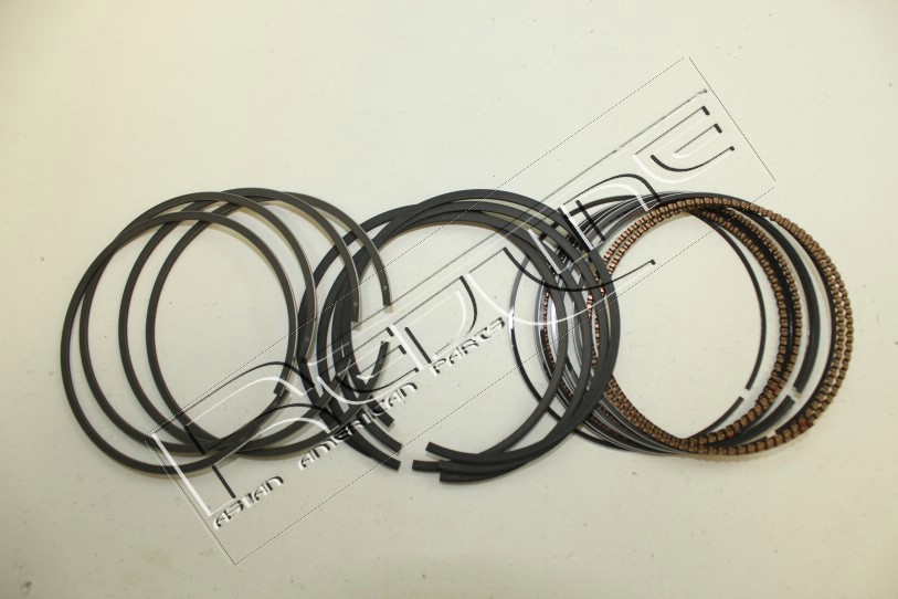 Kit fasce elastiche REDLINE 04DA019