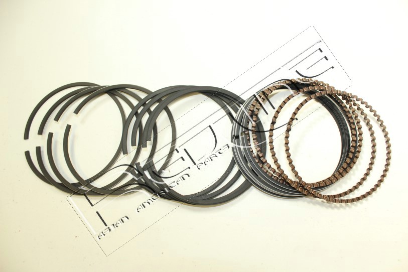 Kit fasce elastiche REDLINE 04DW004