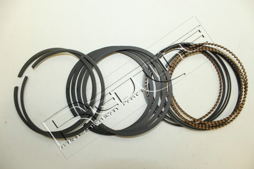Kit fasce elastiche REDLINE 04GW000