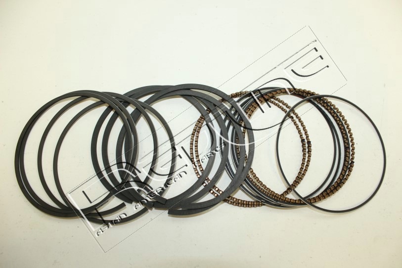 Kit fasce elastiche REDLINE 04GW001