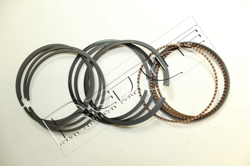 Kit fasce elastiche REDLINE 04HO000