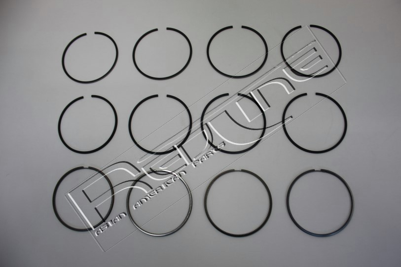 Kit fasce elastiche REDLINE 04HO005