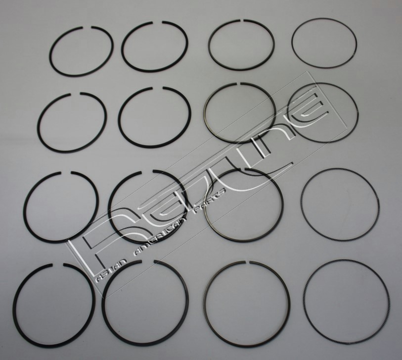 Kit fasce elastiche REDLINE 04HO006