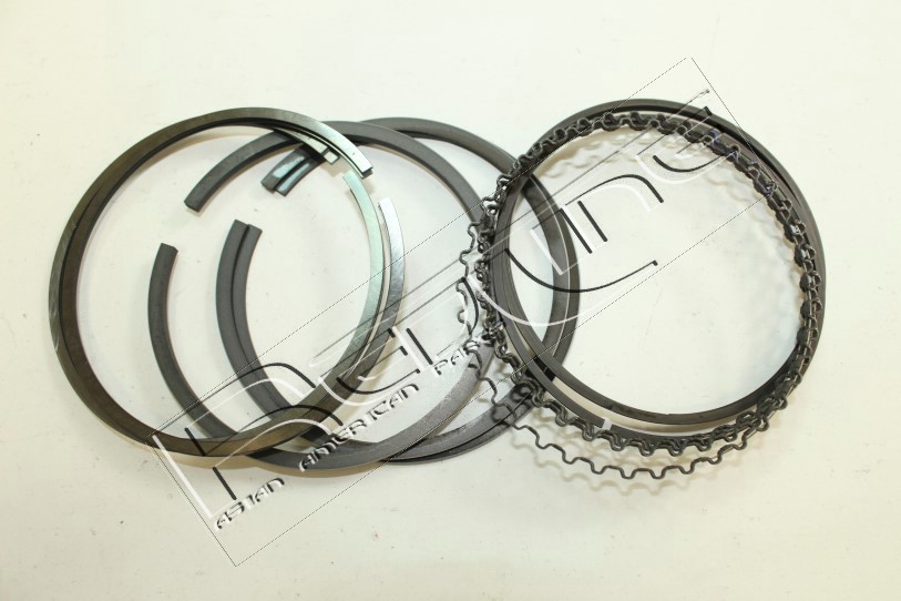 Kit fasce elastiche REDLINE 04HY004