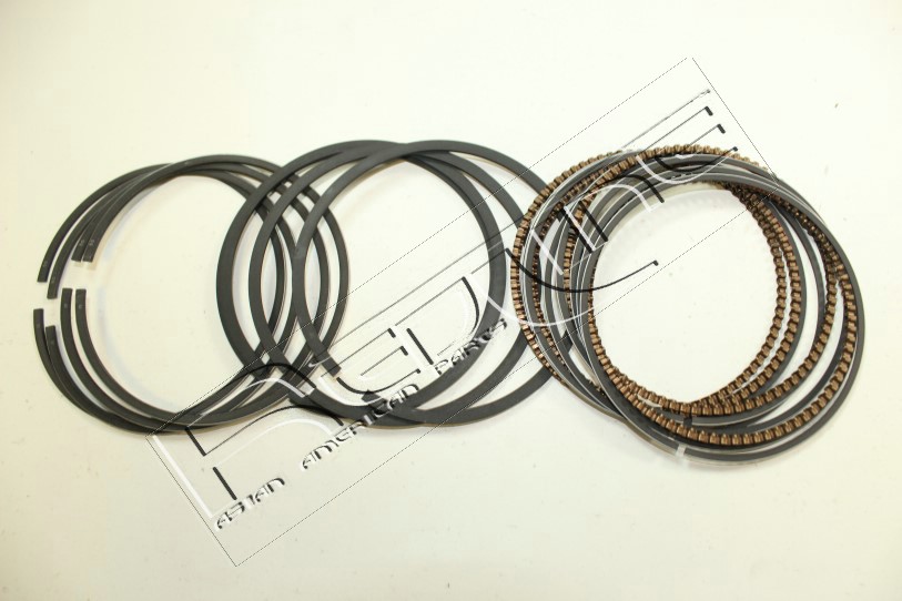 Kit fasce elastiche REDLINE 04HY022