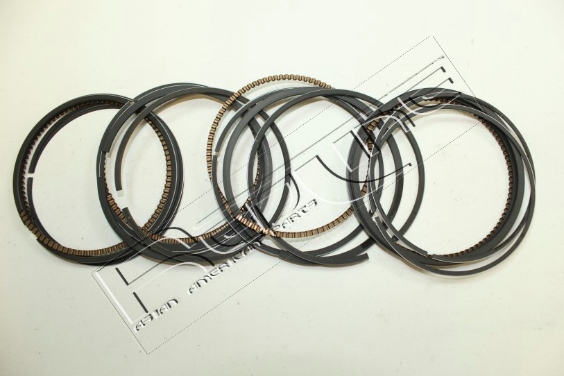 Kit fasce elastiche REDLINE 04HY024