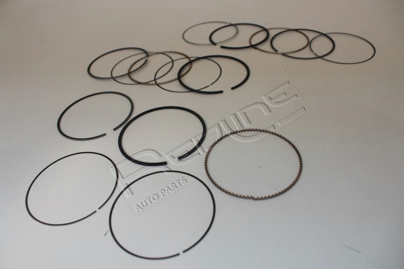 Kit fasce elastiche REDLINE 04HY045