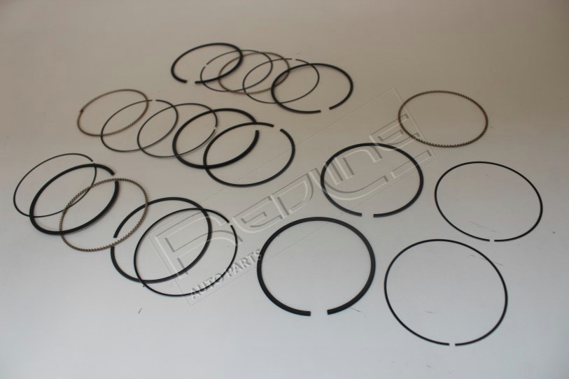 Kit fasce elastiche REDLINE 04HY046