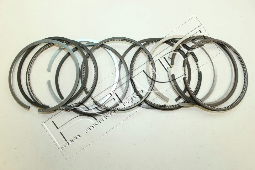 Kit fasce elastiche REDLINE 04IZ000