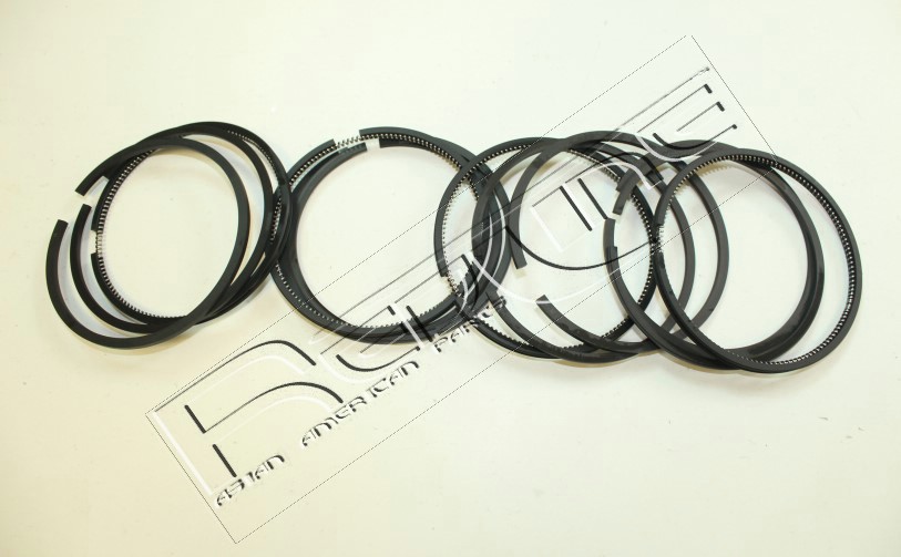 Kit fasce elastiche REDLINE 04IZ001