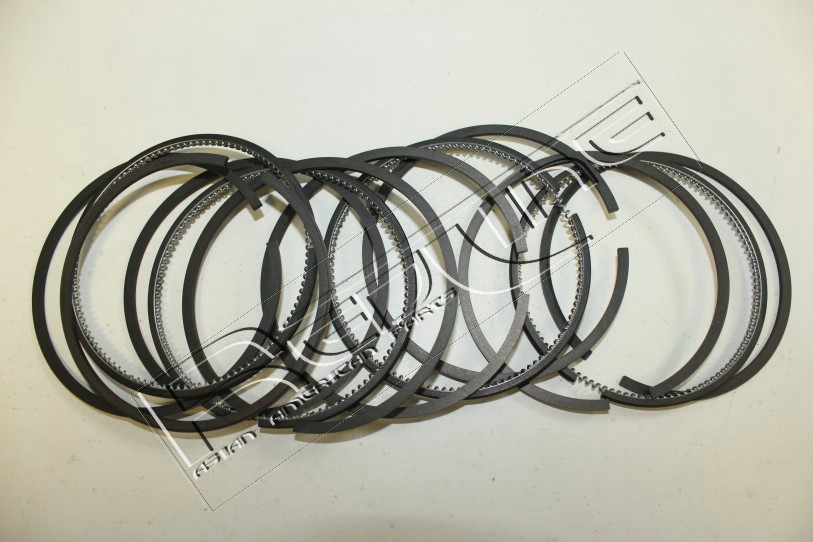 Kit fasce elastiche REDLINE 04IZ002