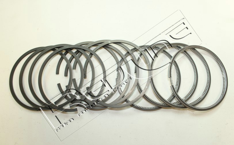 Kit fasce elastiche REDLINE 04IZ007