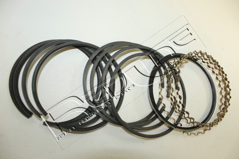 Kit fasce elastiche REDLINE 04IZ008