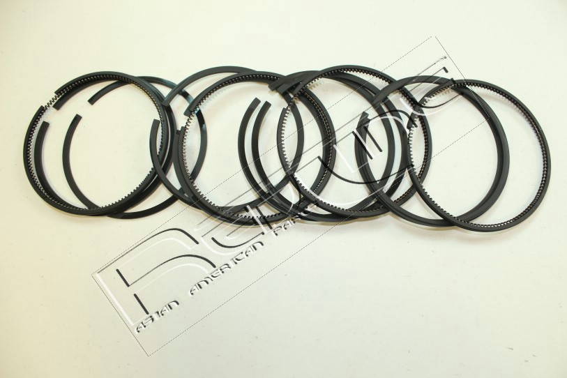 Kit fasce elastiche REDLINE 04IZ018