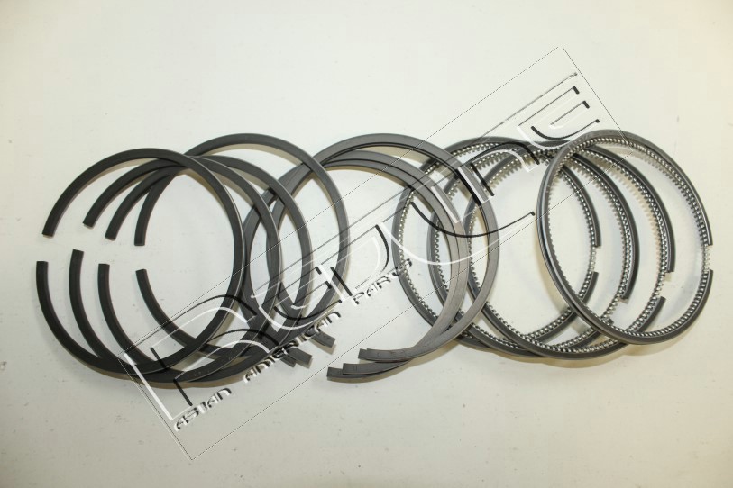 Kit fasce elastiche REDLINE 04IZ019