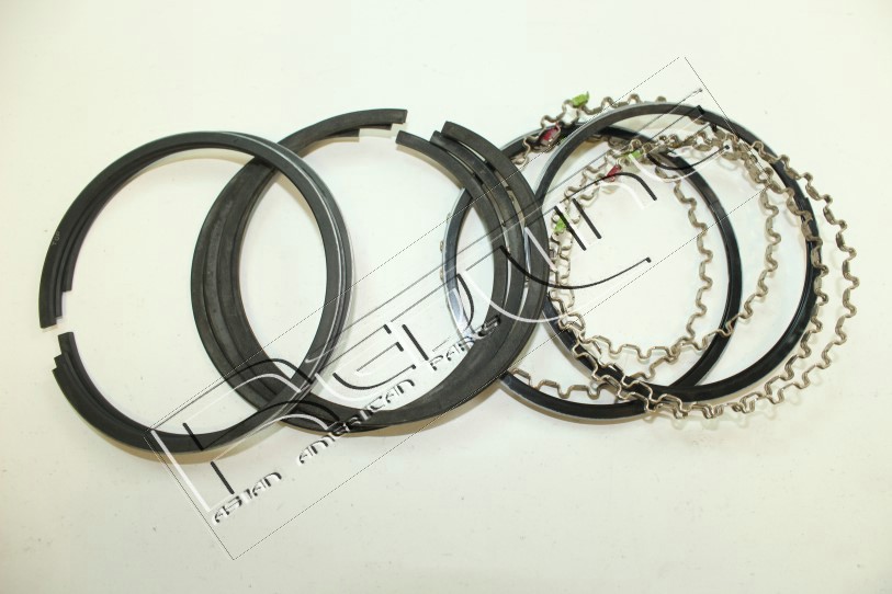 Kit fasce elastiche REDLINE 04JE004
