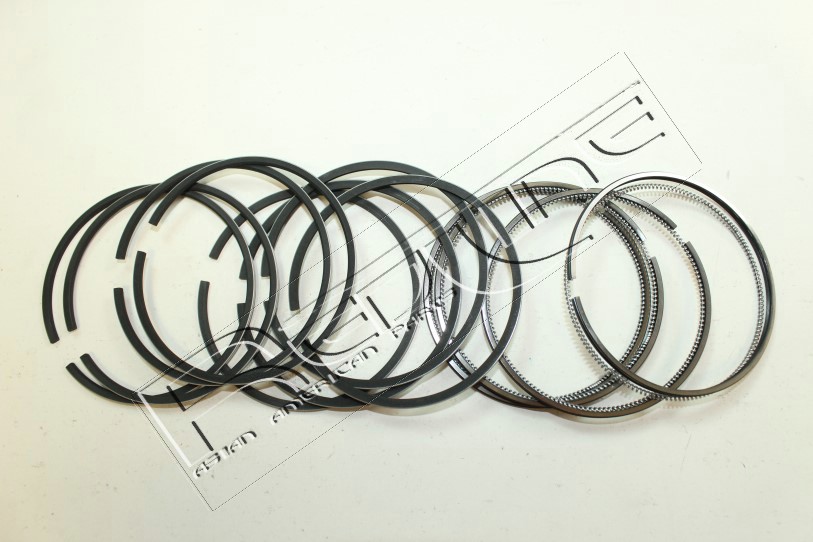 Kit fasce elastiche REDLINE 04KI007