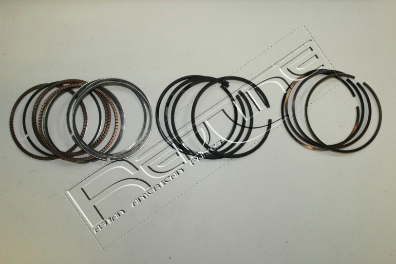 Kit fasce elastiche REDLINE 04KI009