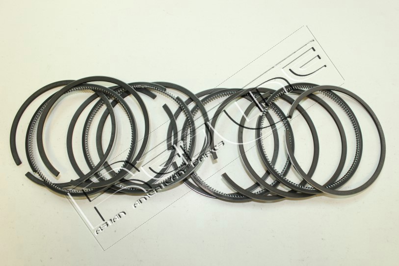 Kit fasce elastiche REDLINE 04MI007