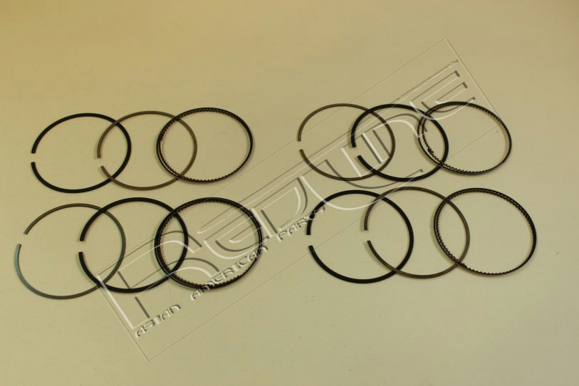 Kit fasce elastiche REDLINE 04MI030