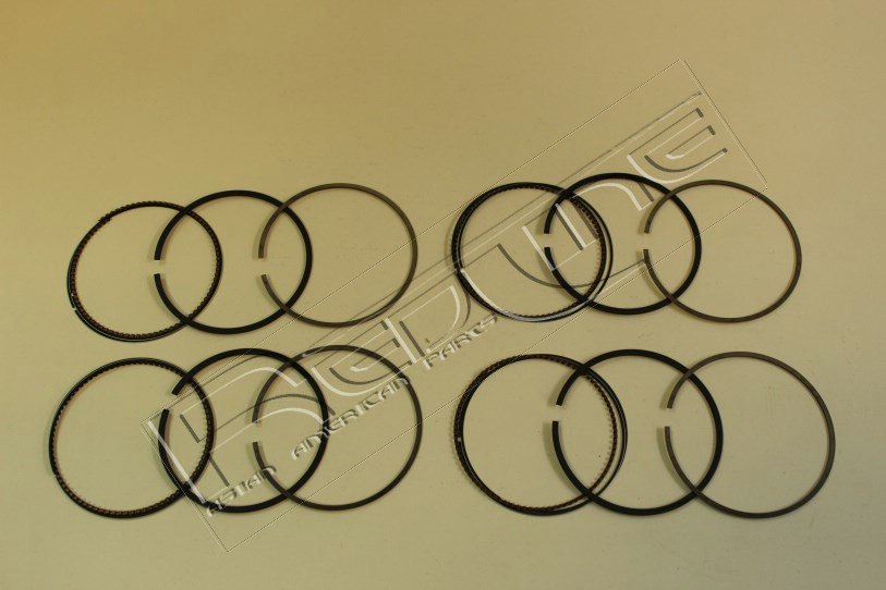 Kit fasce elastiche REDLINE 04MI031