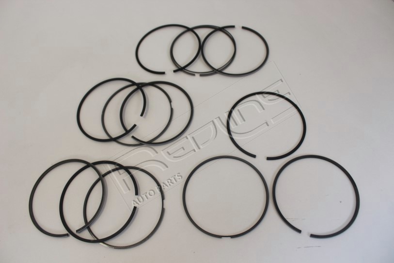 Kit fasce elastiche REDLINE 04MI034