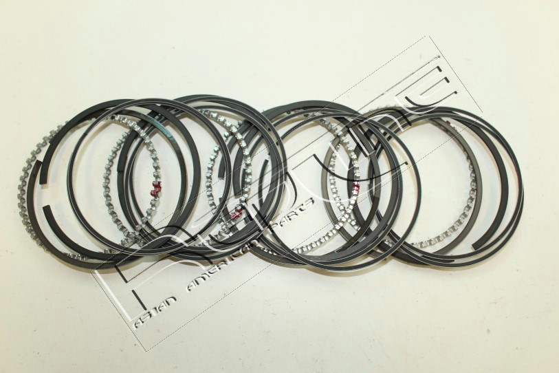 Kit fasce elastiche REDLINE 04MZ003