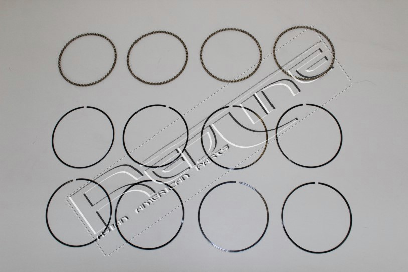 Kit fasce elastiche REDLINE 04MZ005