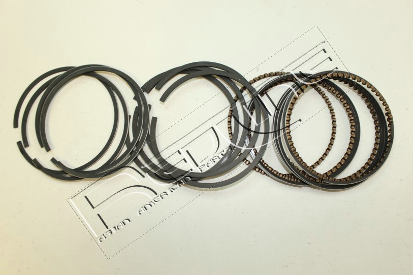 Kit fasce elastiche REDLINE 04MZ006
