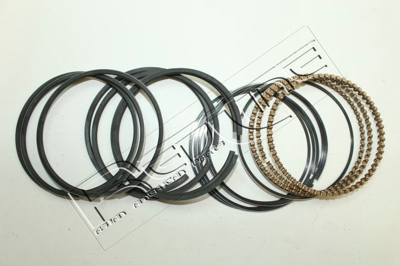 Kit fasce elastiche REDLINE 04MZ007