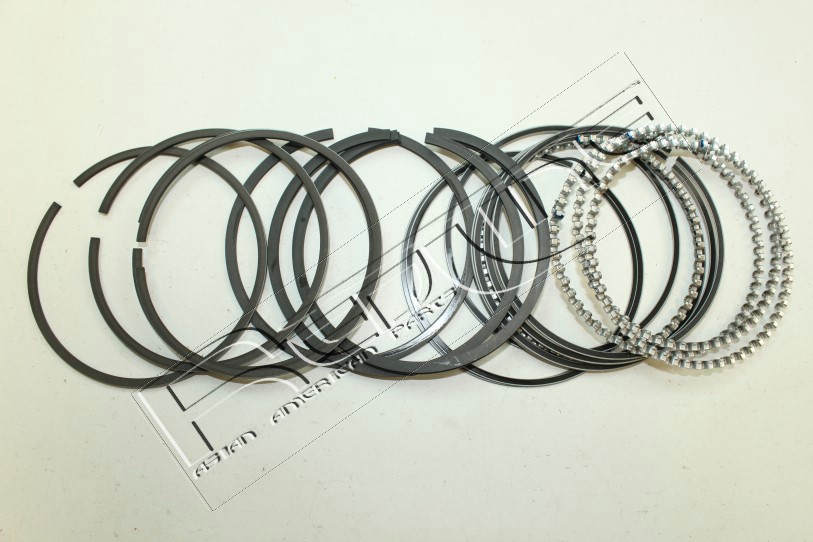Kit fasce elastiche REDLINE 04MZ008