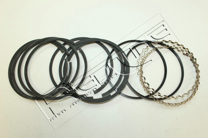Kit fasce elastiche REDLINE 04MZ009