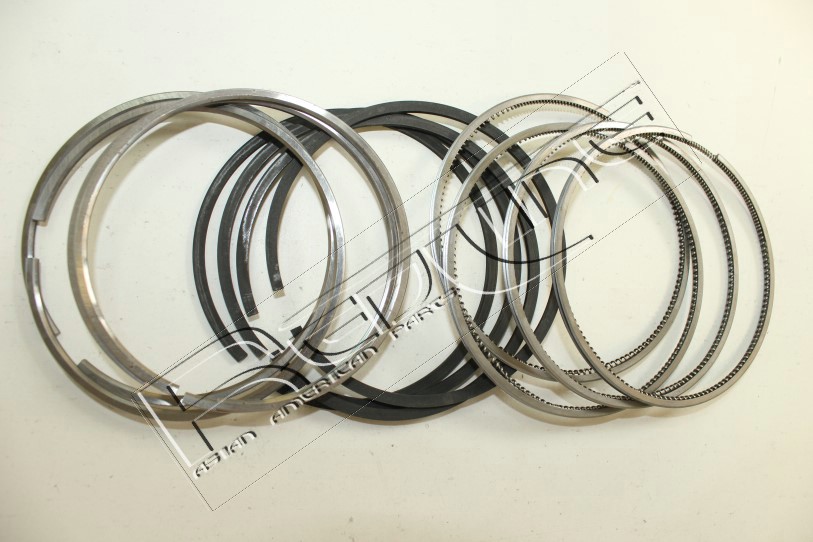 Kit fasce elastiche REDLINE 04MZ011