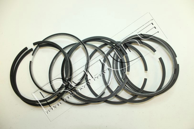 Kit fasce elastiche REDLINE 04NI003