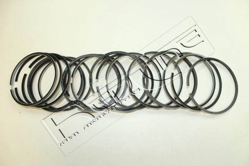 REDLINE SERIE SEGMENTI