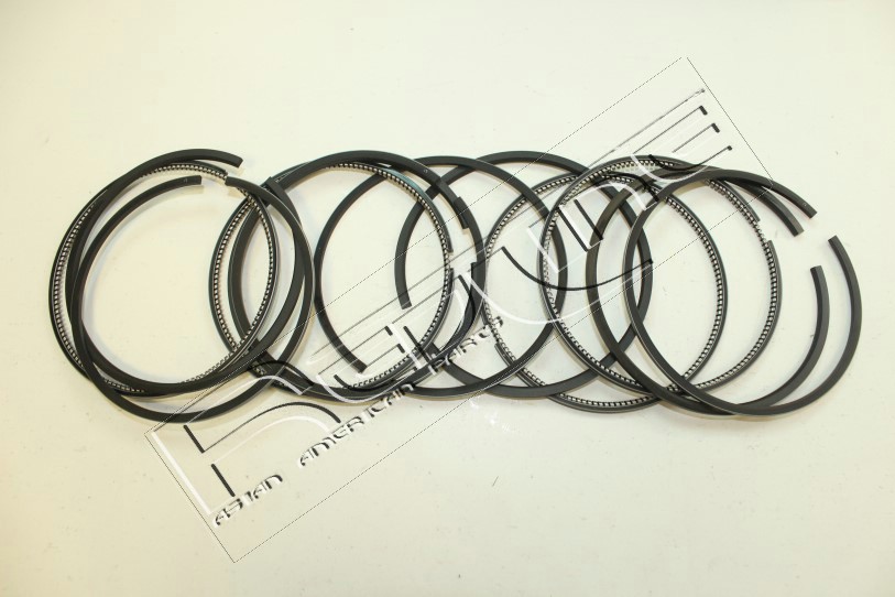Kit fasce elastiche REDLINE 04NI024