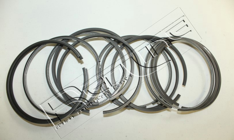 Kit fasce elastiche REDLINE 04NI030