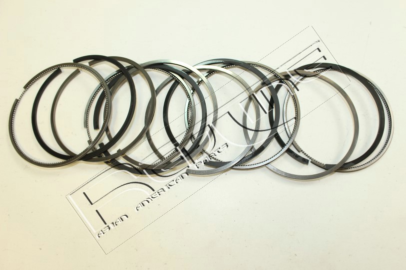 Kit fasce elastiche REDLINE 04NI054